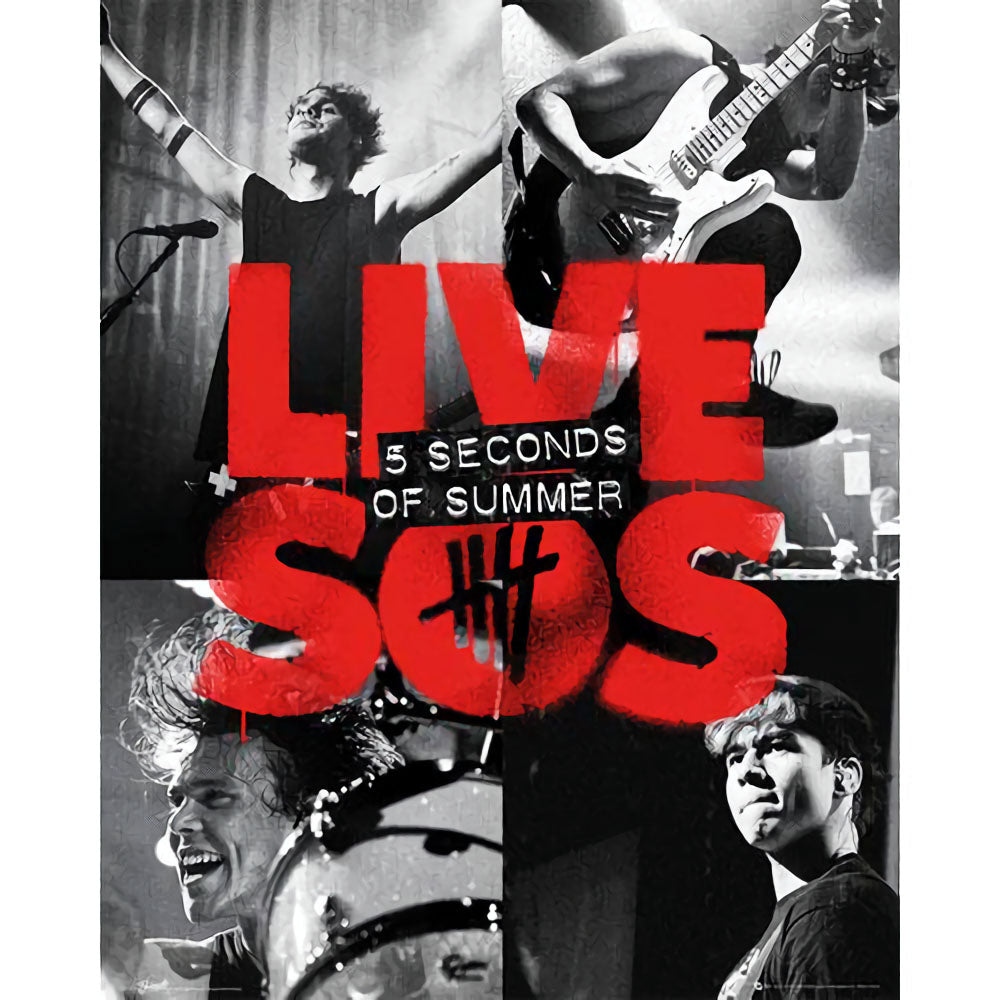 5 SECONDS OF SUMMER ファイヴセカンズオブサマー（絶版ポスター）LIVE SOS ミニ ポスター 公式 オフィシャル