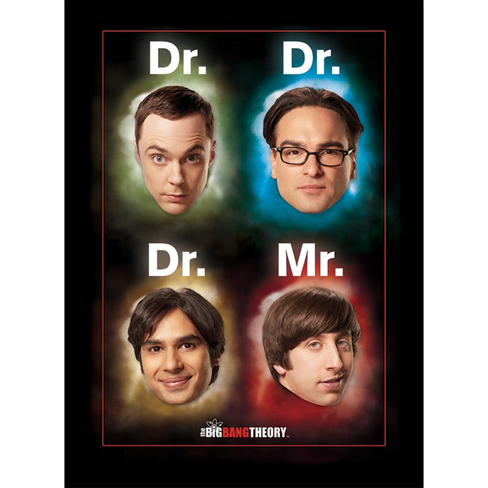 BIG BANG THEORY ビッグバンセオリー Dr Mr インテリア額  公式 オフィシャル