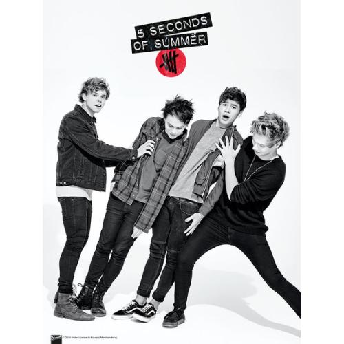 
                  
                    5 SECONDS OF SUMMER ファイヴセカンズオブサマー（絶版）5SOS MICRO POSTER 3枚セット 公式 オフィシャル
                  
                