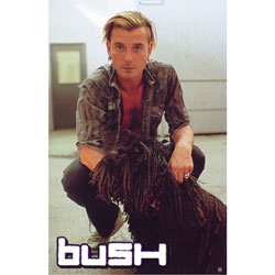 BUSH - DOG