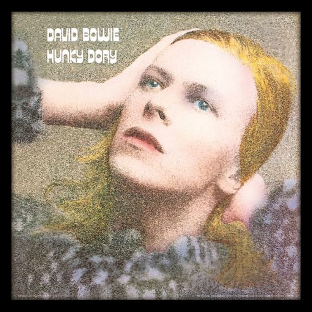 DAVID BOWIE デヴィッドボウイ - HUNKY DORY (アルバム・シリーズ額) / インテリア額 【公式 / オフィシャル】