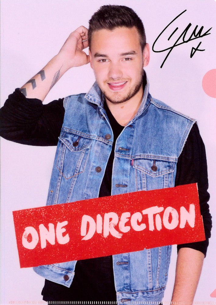 
                  
                    日本限定公式商品 ONE DIRECTION ワンダイレクション - クリアファイル5枚セットVOL.2 / ファイル・バインダー 【公式 / オフィシャル】
                  
                