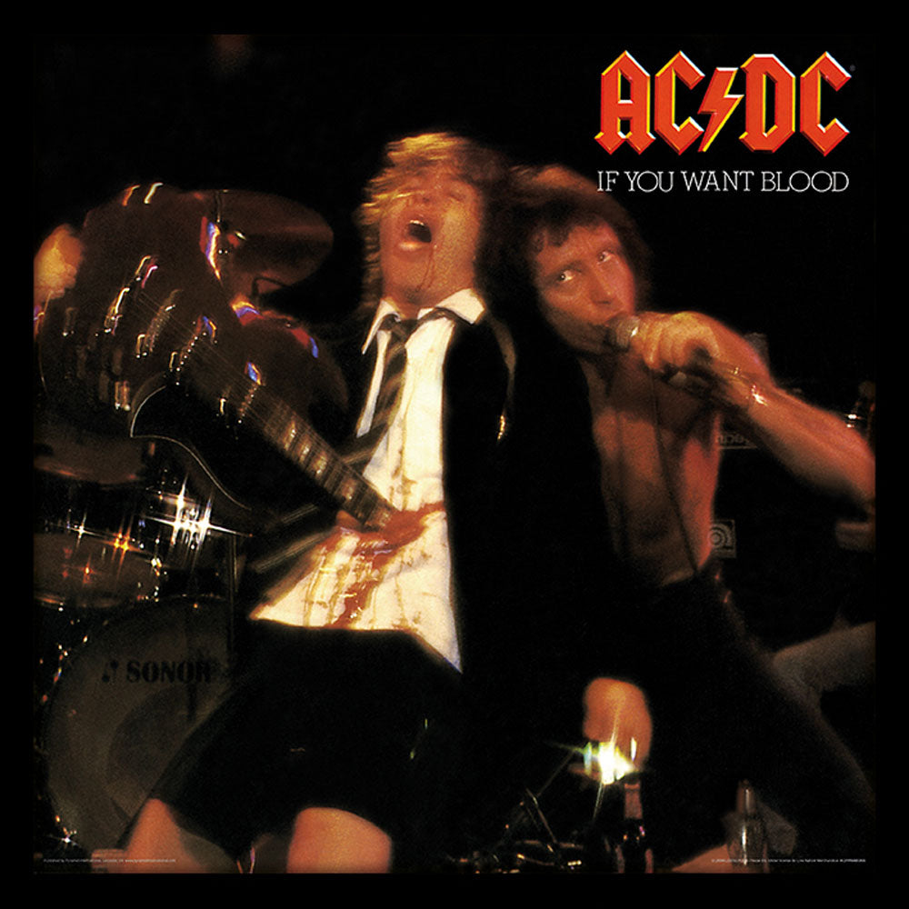 AC/DC エーシーディーシー IF YOU WANT BLOOD (アルバム・シリーズ額) インテリア額 公式 オフィシャル