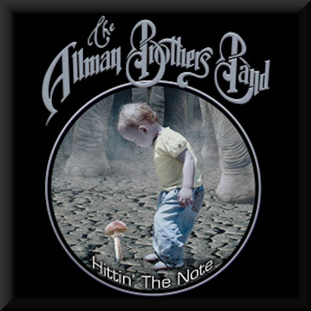 ALLMAN BROTHERS BAND - Shroom Kid