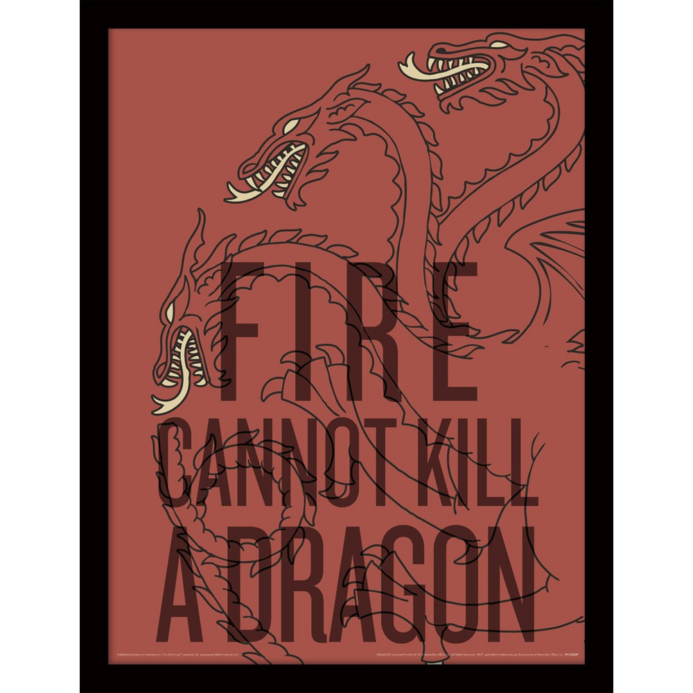 GAME OF THRONES ゲーム・オブ・スローンズ - Fire Cannot Kill The Dragon / インテリア額 【公式 / オフィシャル】