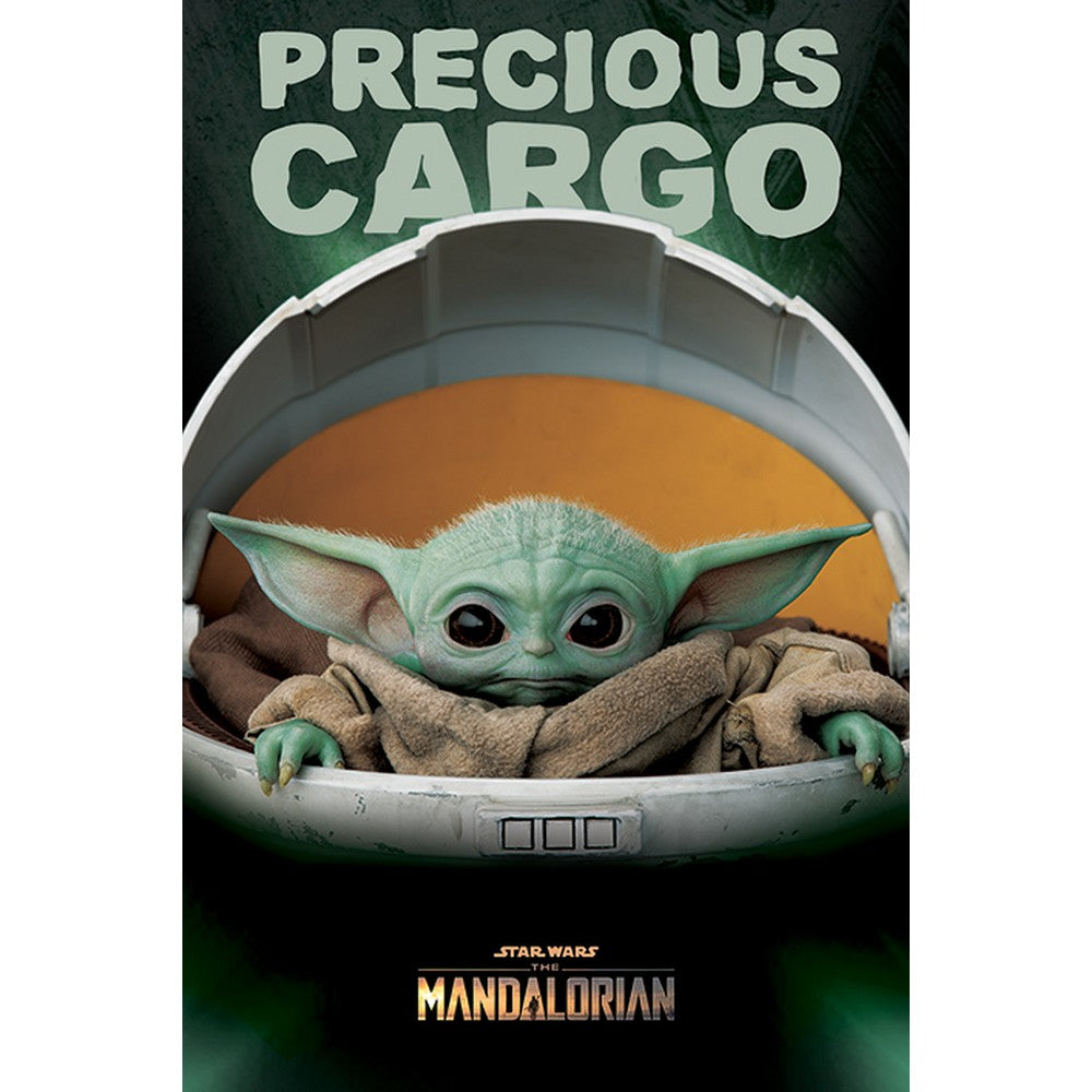 THE MANDALORIAN スターウォーズ (2024年 6月 「アコライト」 配信 ) - Precious Cargo / ポスター 【公式 / オフィシャル】