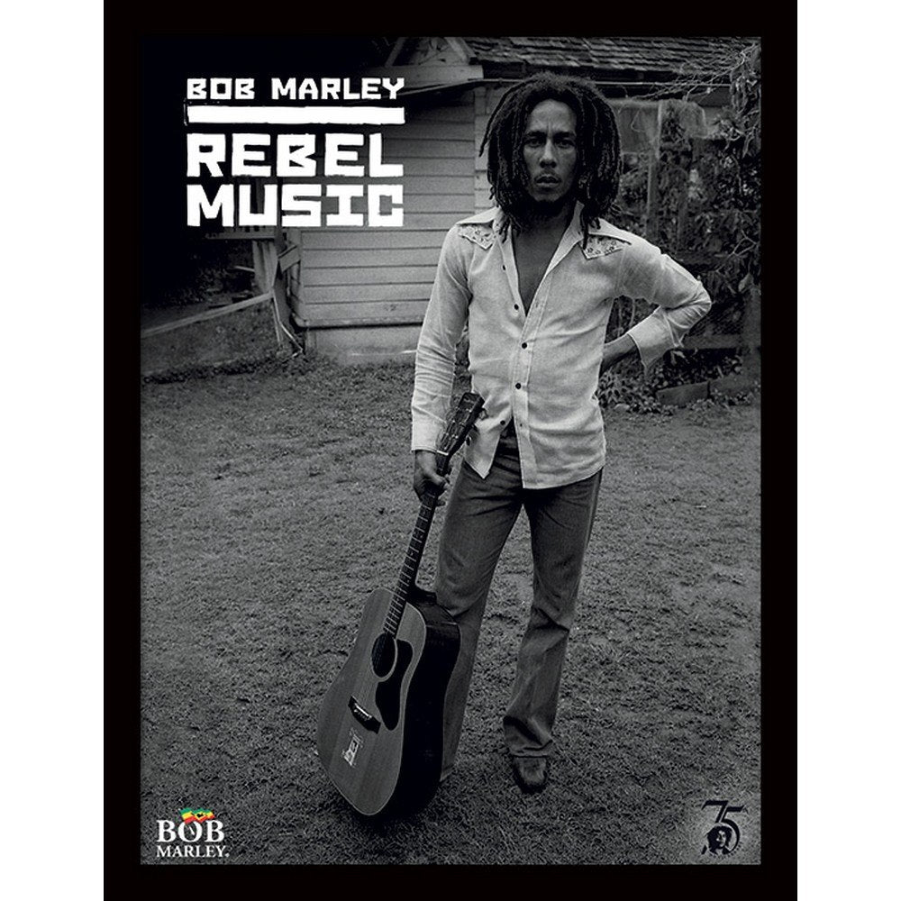 BOB MARLEY ボブマーリー (映画 公開記念 ) Rebel Music インテリア額 公式 オフィシャル