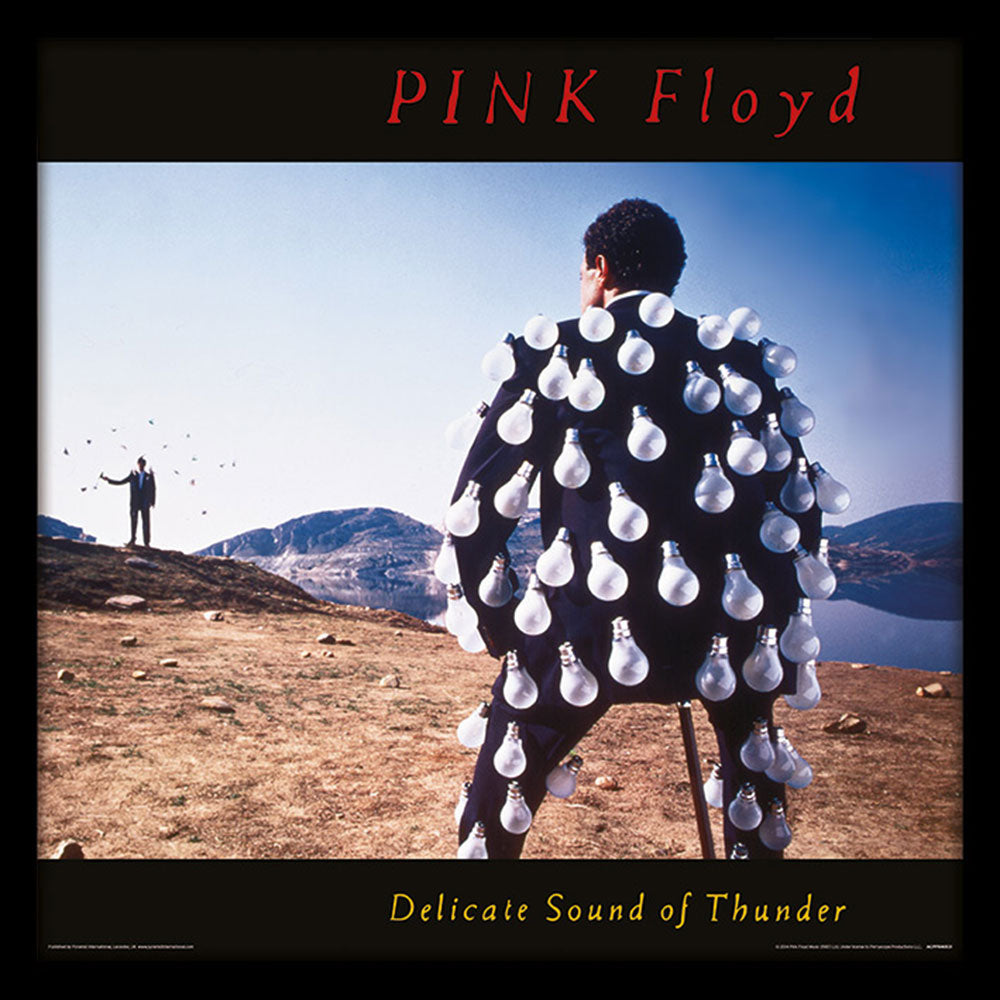 PINK FLOYD ピンクフロイド (「対」 30周年 ) - Delicate Sound of Thunder(アルバム・シリーズ額) / インテリア額 【公式 / オフィシャル】