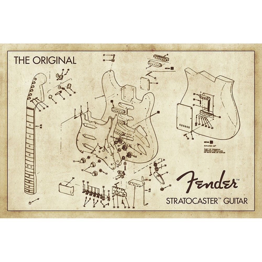 FENDER - Diagram