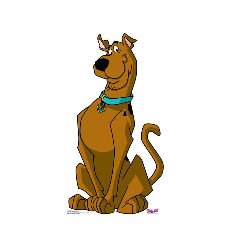 SCOOBY DOO - CARDBOARD