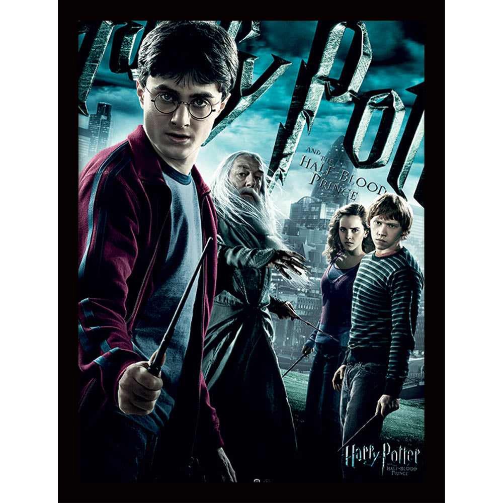 HARRY POTTER ハリーポッター  Half-Blood Prince Dramatic  インテリア額 公式  オフィシャル