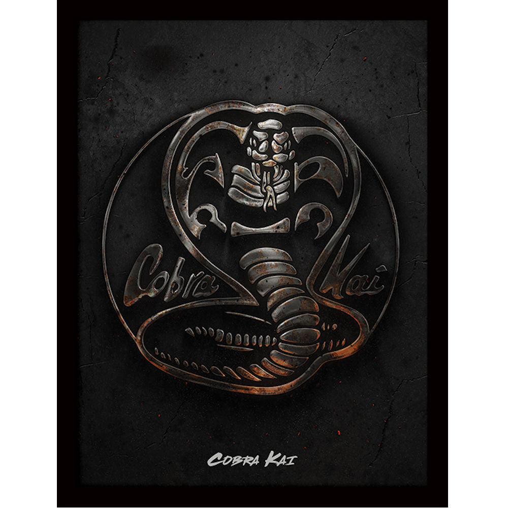 COBRA KAI コブラ会 (シーズン6 配信 ) Metal インテリア額 公式 オフィシャル