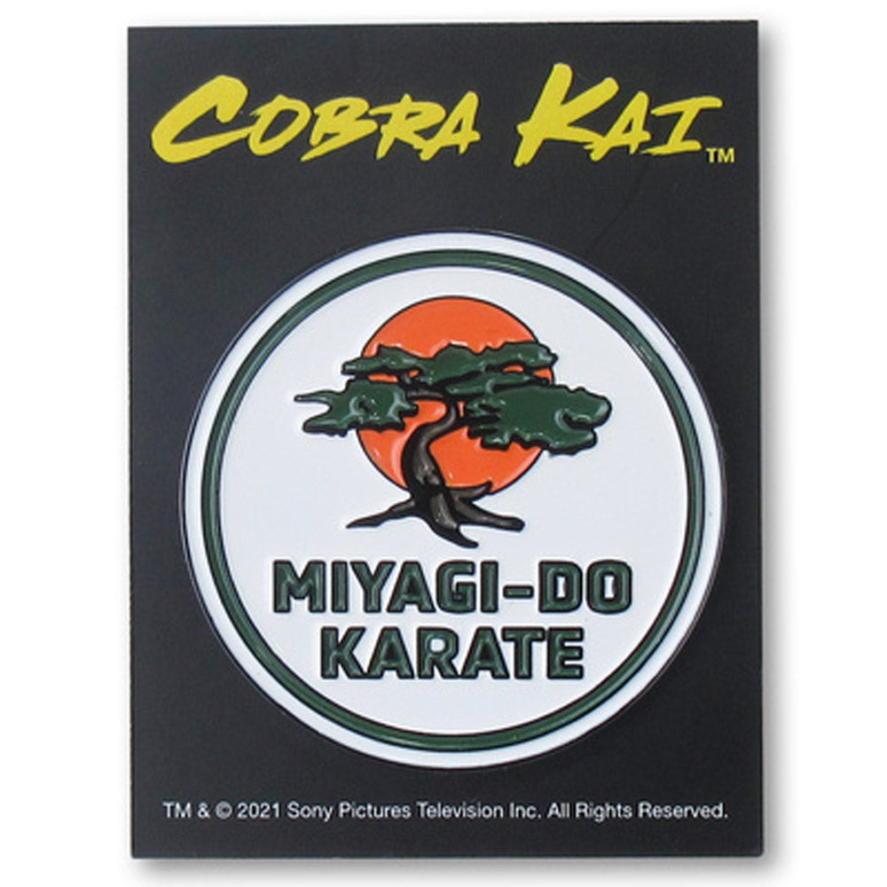 COBRA KAI - (シーズン6 配信 ) - ミヤギ道カラテロゴ