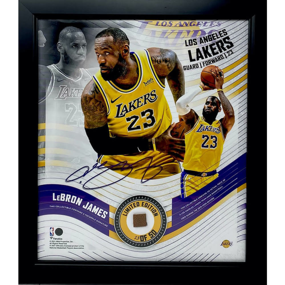 LOS ANGELES LAKERS（NBA） ロサンゼルスレイカーズ - LEBRON JAMES Framed 15