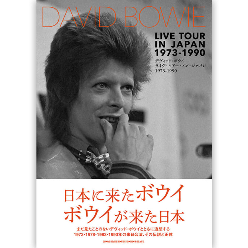 DAVID BOWIE デヴィッドボウイ - デヴィッド・ボウイ ライヴ・ツアー・イン・ジャパン 1973-1990 雑誌・書籍