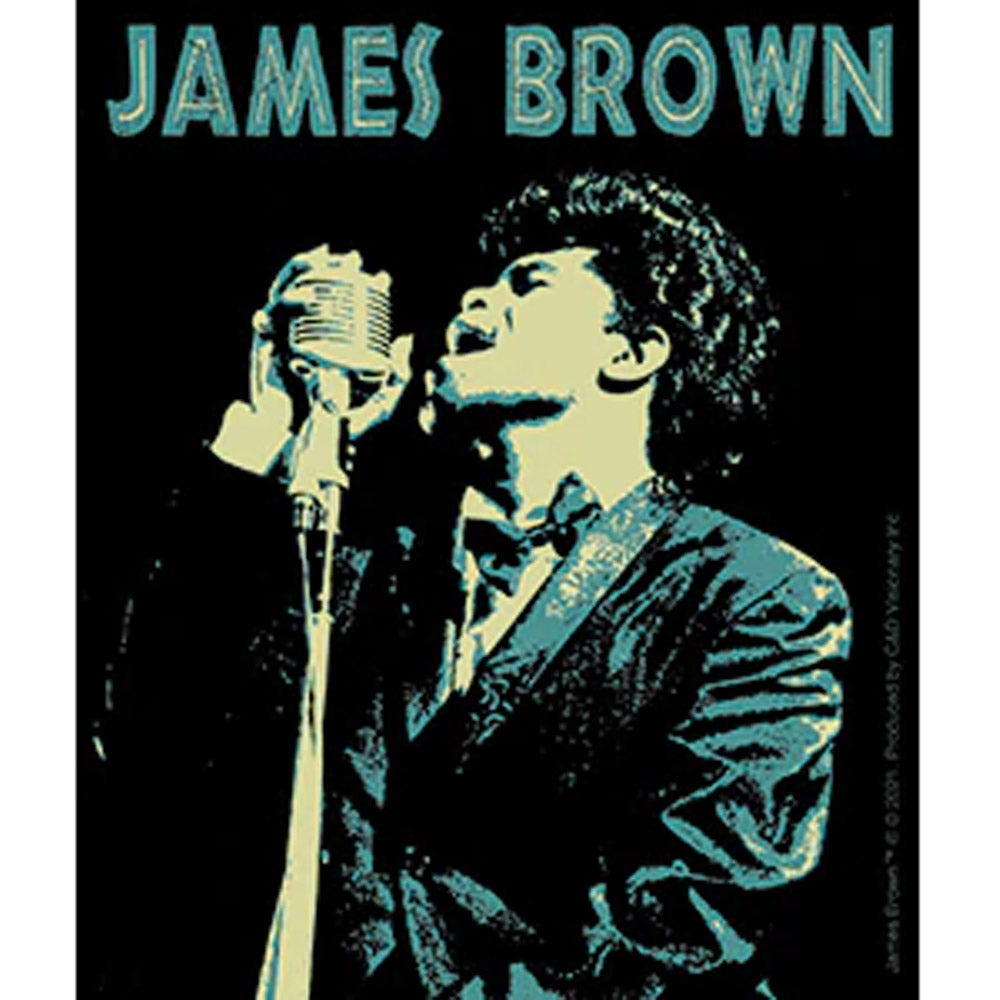 JAMES BROWN ジェームスブラウン - Singin' the Blues / ステッカー 【公式 / オフィシャル】