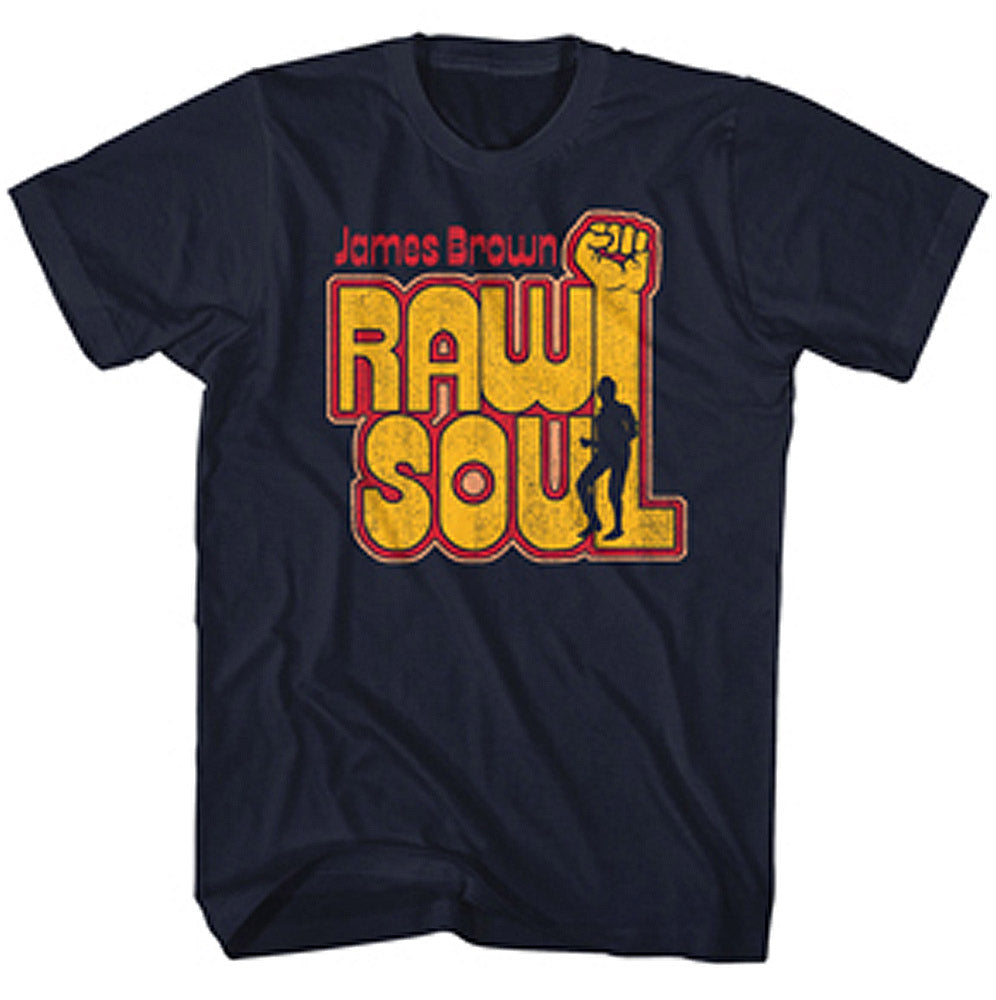 JAMES BROWN - Raw Soul