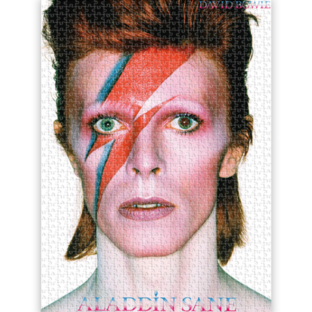 DAVID BOWIE デヴィッドボウイ ALADDINE 500ピース ジグソーパズル 公式 オフィシャル