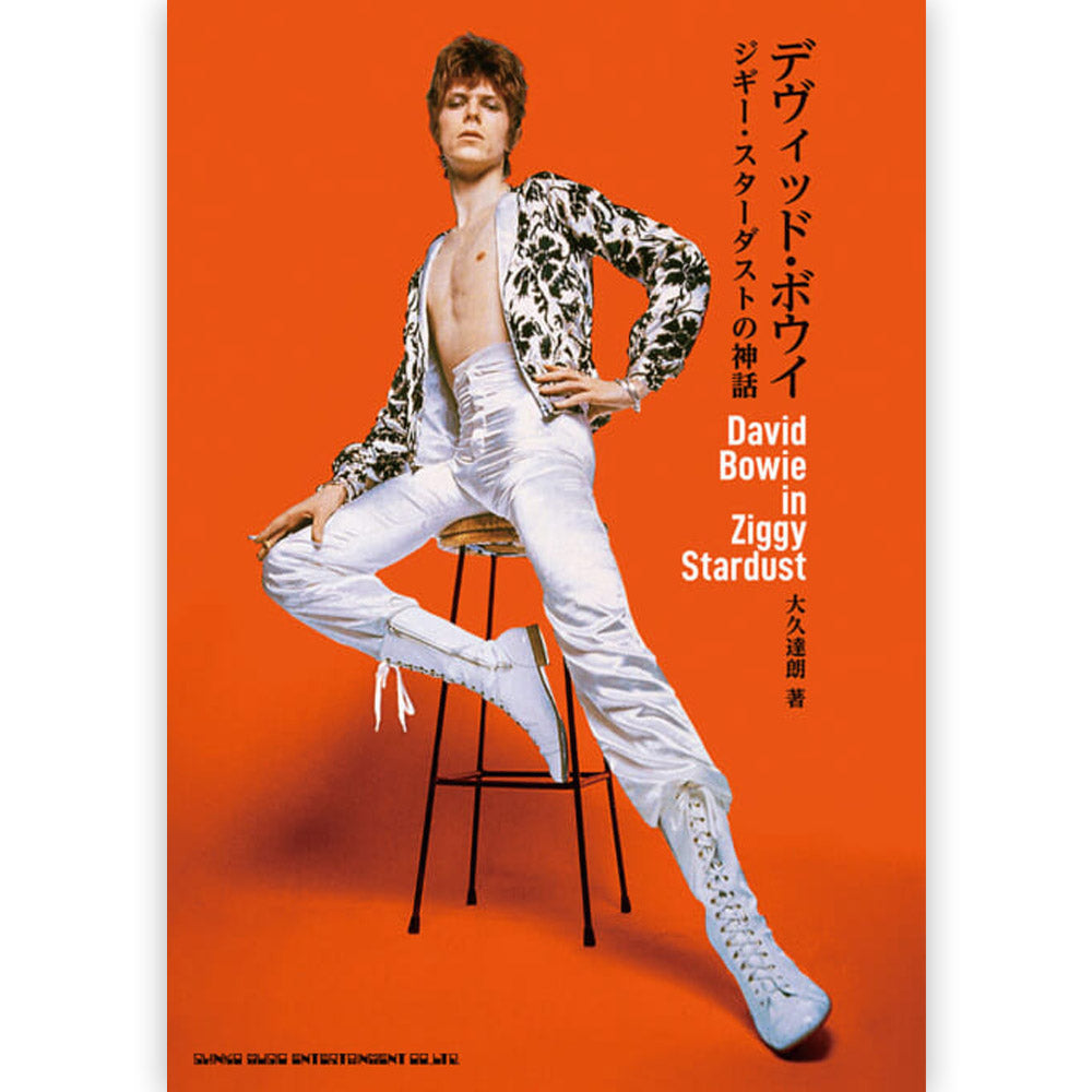 DAVID BOWIE デヴィッドボウイ - デヴィッド・ボウイ ジギー・スターダストの神話 雑誌・書籍