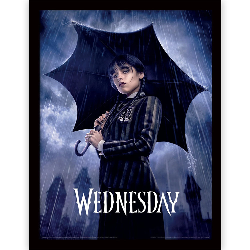 WEDNESDAY ウェンズデー - Downpour / インテリア額 【公式 / オフィシャル】