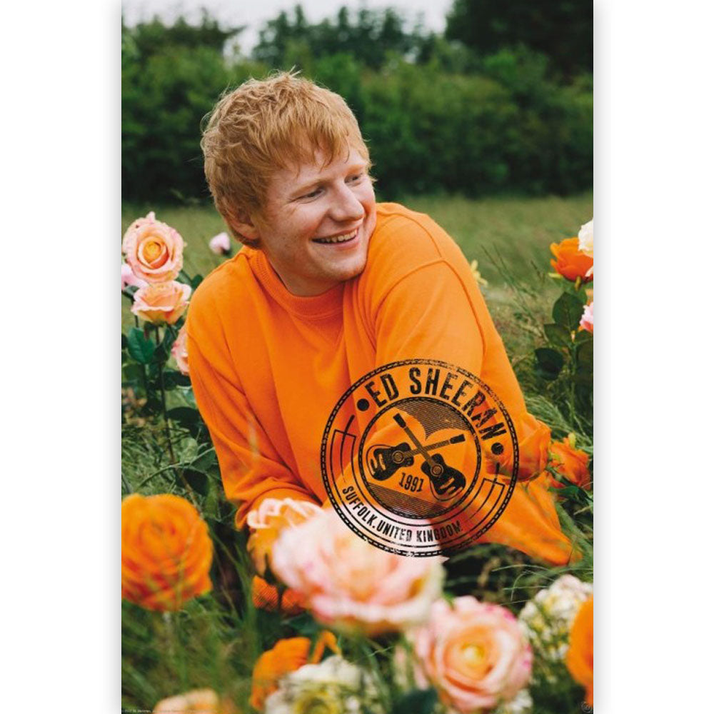 ED SHEERAN - Rose Field