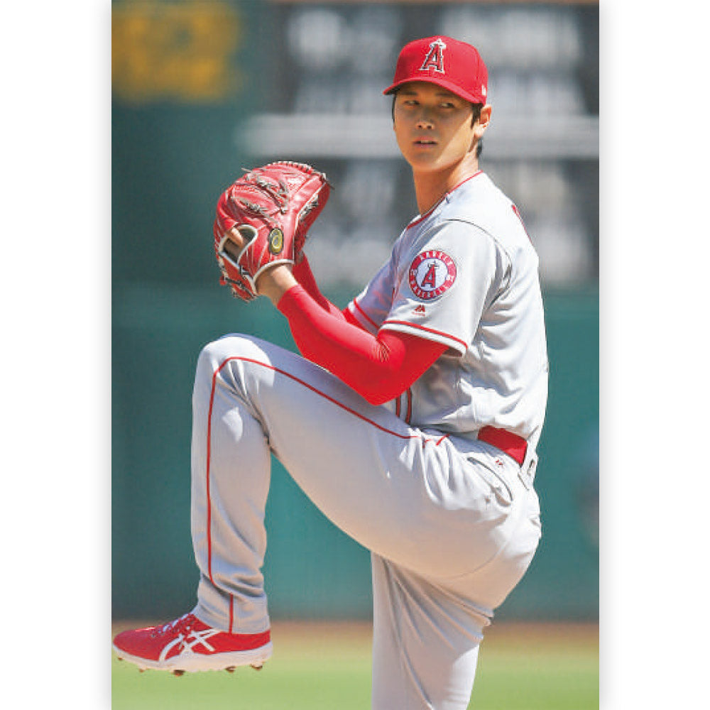 
                  
                    SHOHEI OHTANI 大谷翔平 - 二刀流メジャーリーガー誕生の軌跡 / 文庫版 / 雑誌・書籍
                  
                