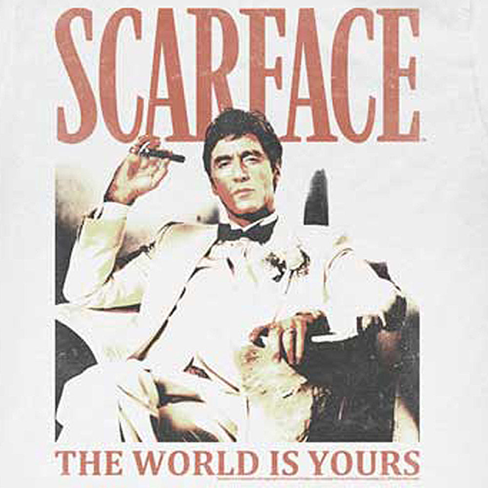 
                  
                    SCARFACE スカーフェイス - DA WORLD / Tシャツ / メンズ
                  
                