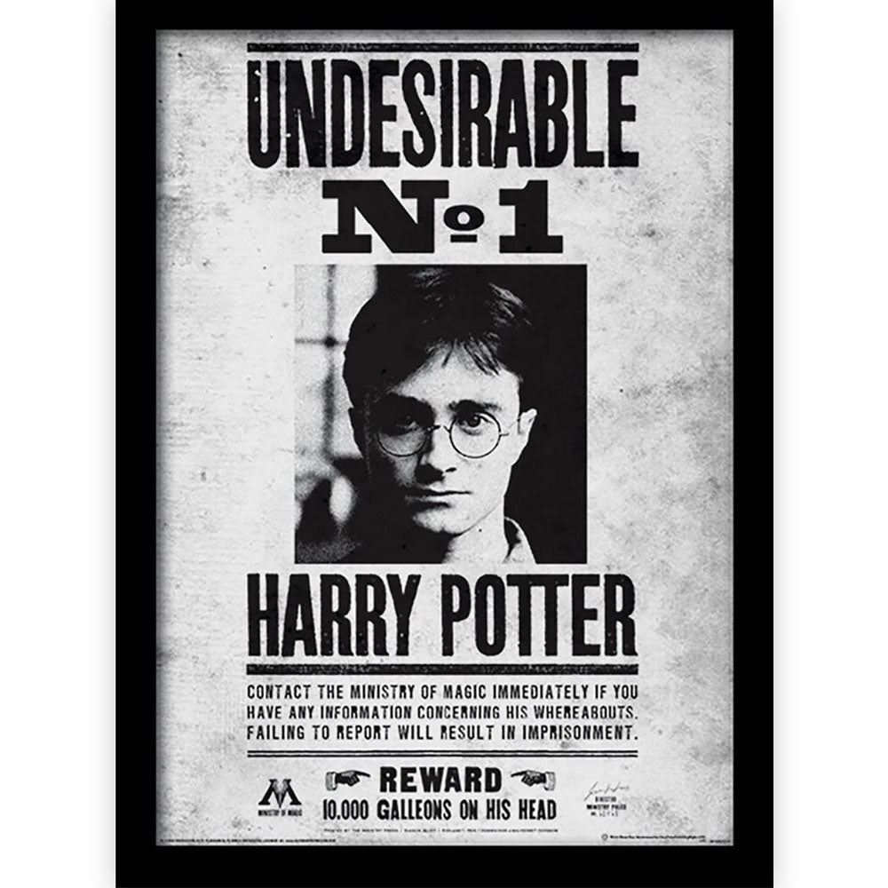 HARRY POTTER ハリーポッター - Undesirable No1 / インテリア額 【公式 / オフィシャル】