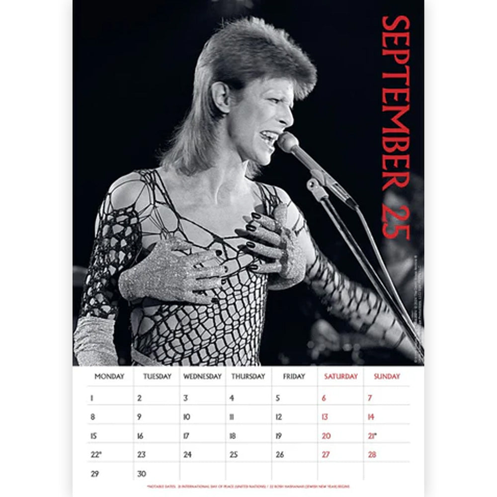 
                  
                    【予約商品】 DAVID BOWIE デヴィッドボウイ - 2025 A3 CALENDAR / カレンダー・ダイアリー 【公式 / オフィシャル】
                  
                