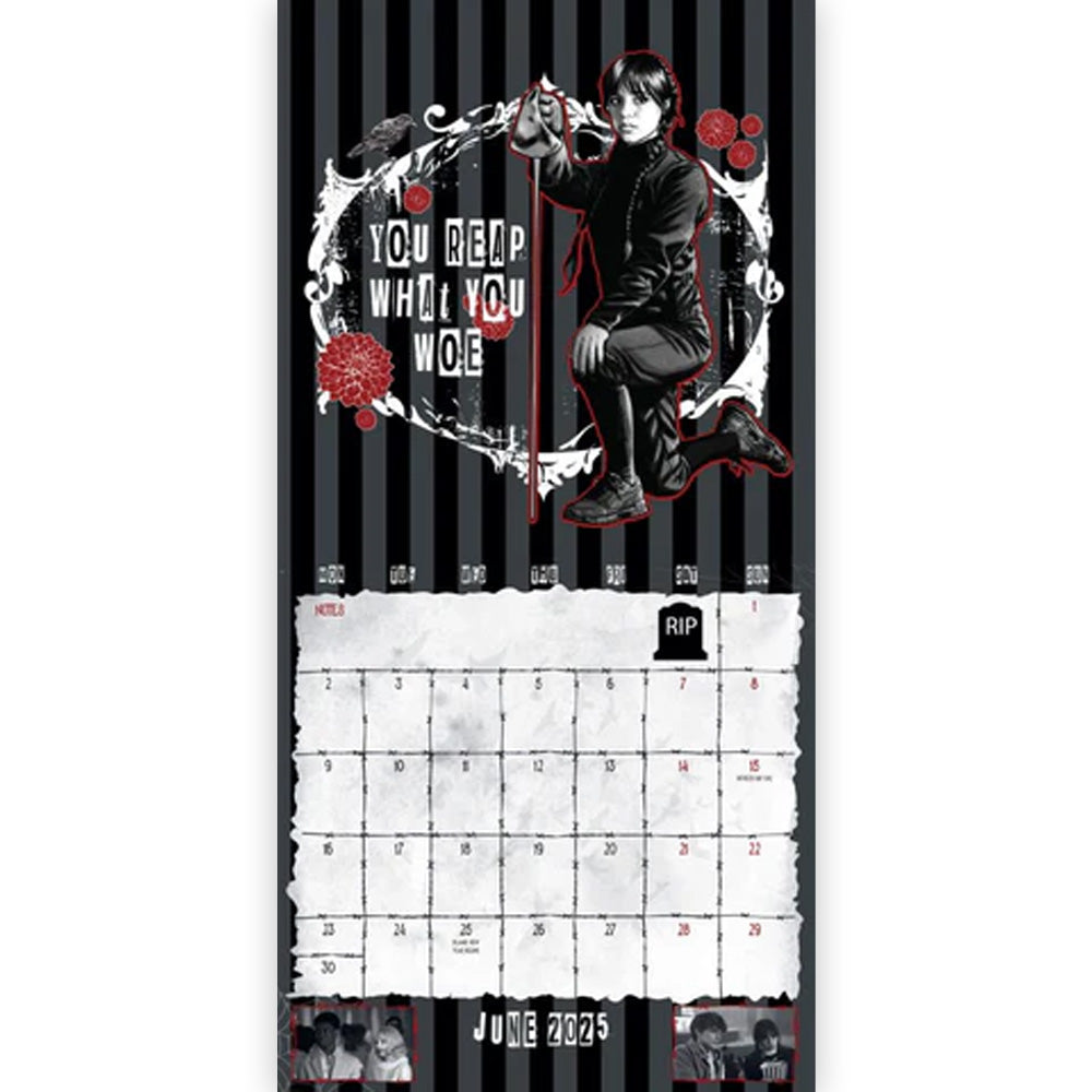 
                  
                    【予約商品】 WEDNESDAY ウェンズデー - 2025 SQUARE CALENDAR / カレンダー・ダイアリー 【公式 / オフィシャル】
                  
                